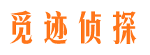 东兰侦探公司